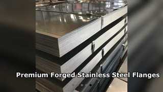 Hochwertige geschmiedete Flanschplatten aus Edelstahl 304 316L