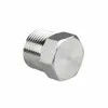 Payment Term T/T Stainless Steel Pipe Cap ASME Standard Rust Resistant Surface for Secure Fitting
