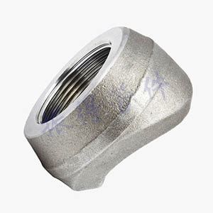 Forged Weld Fitting Thread Weldolet Carbon Steel Stainless Steel Pipes Head